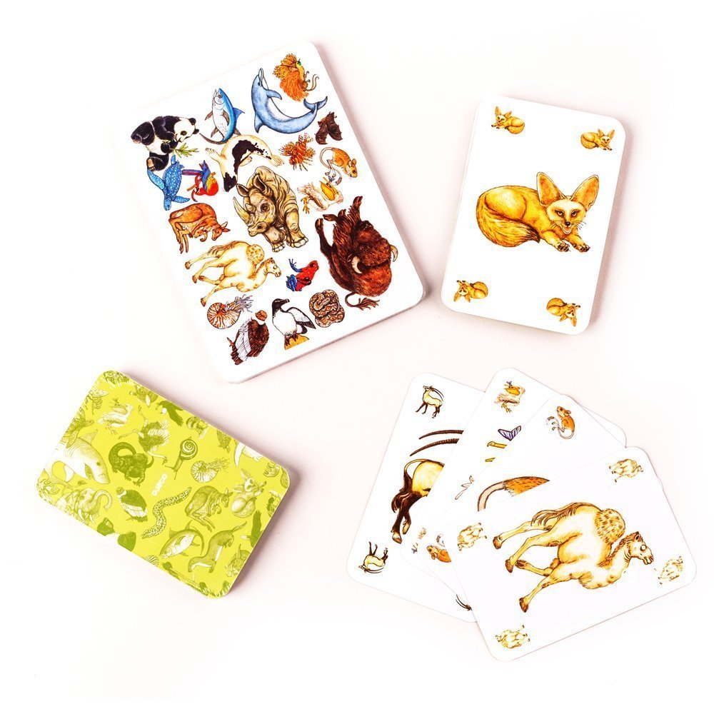 djeco carte da gioco